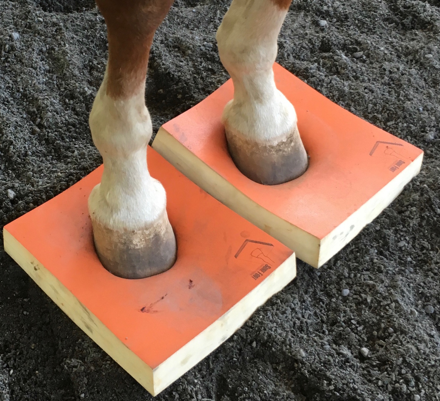 Impression Pad two hooves