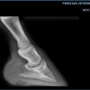 COMFORT X-Ray Block - Image 2