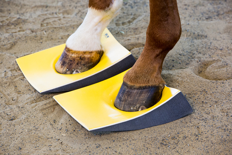 SURE FOOT Shop Equine Stability Pads
