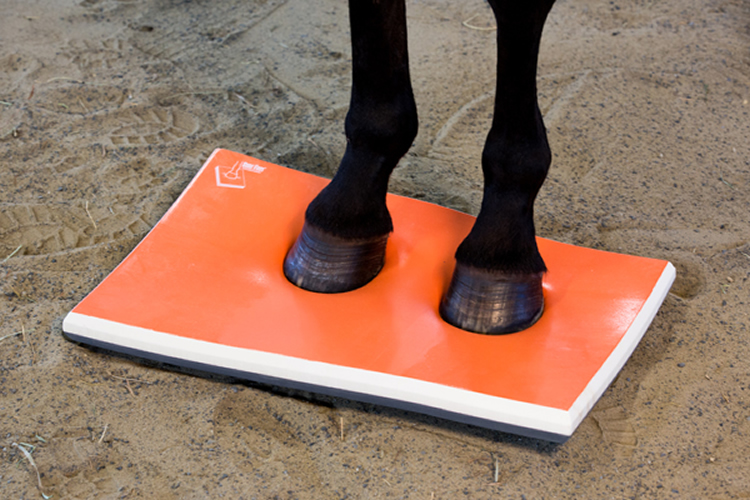 SURE FOOT Shop Equine Stability Pads