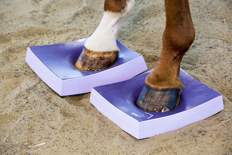 SURE FOOT Shop Equine Stability Pads