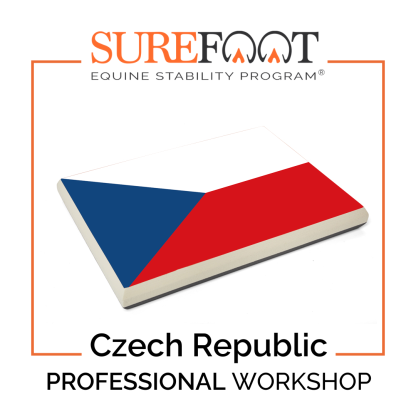 SURE FOOT Workshop Czech Republic May 24-25, 2025